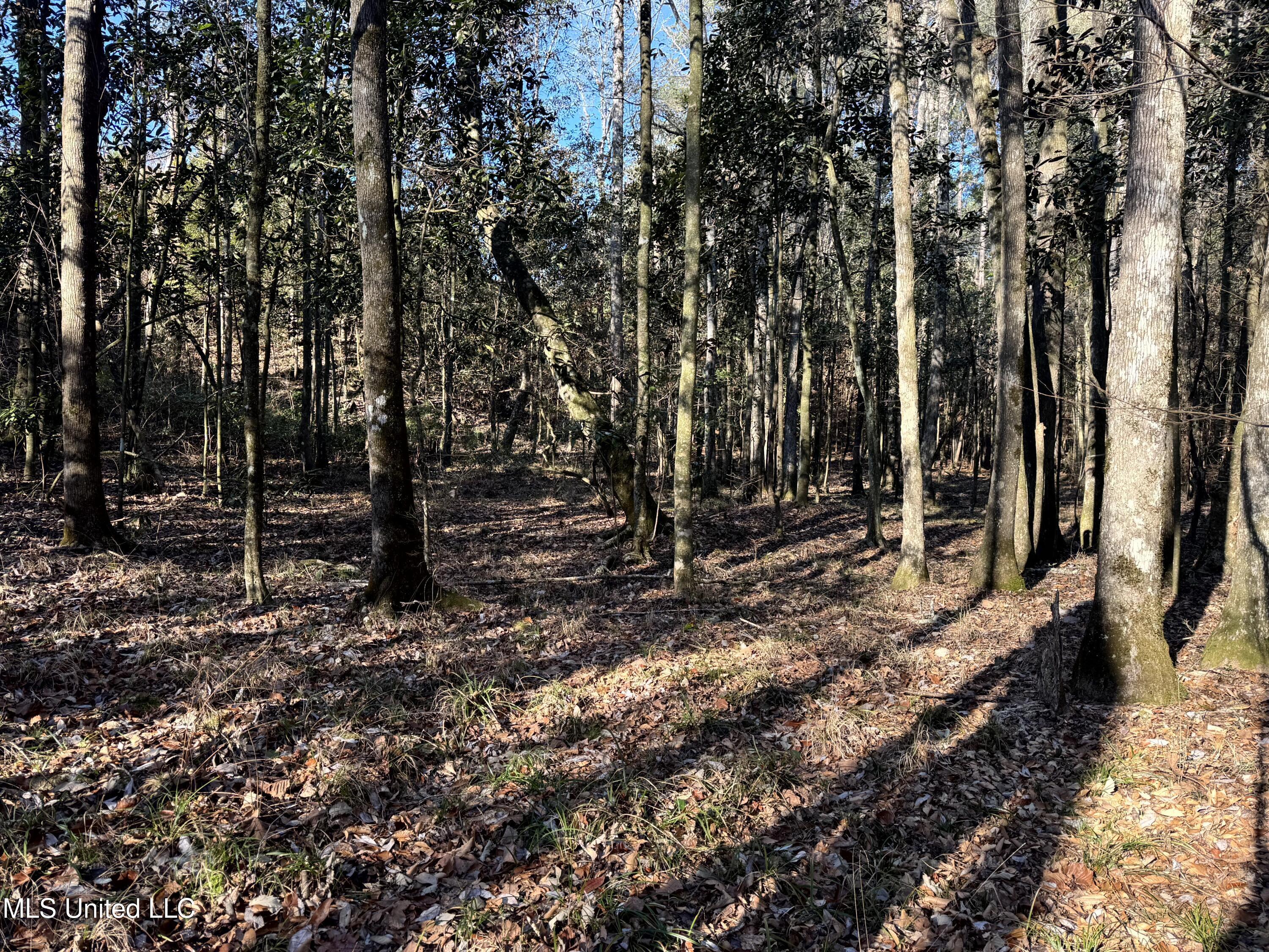 6573 Highway 567 Liberty, MS 39645 - Photo 41 of 50 45