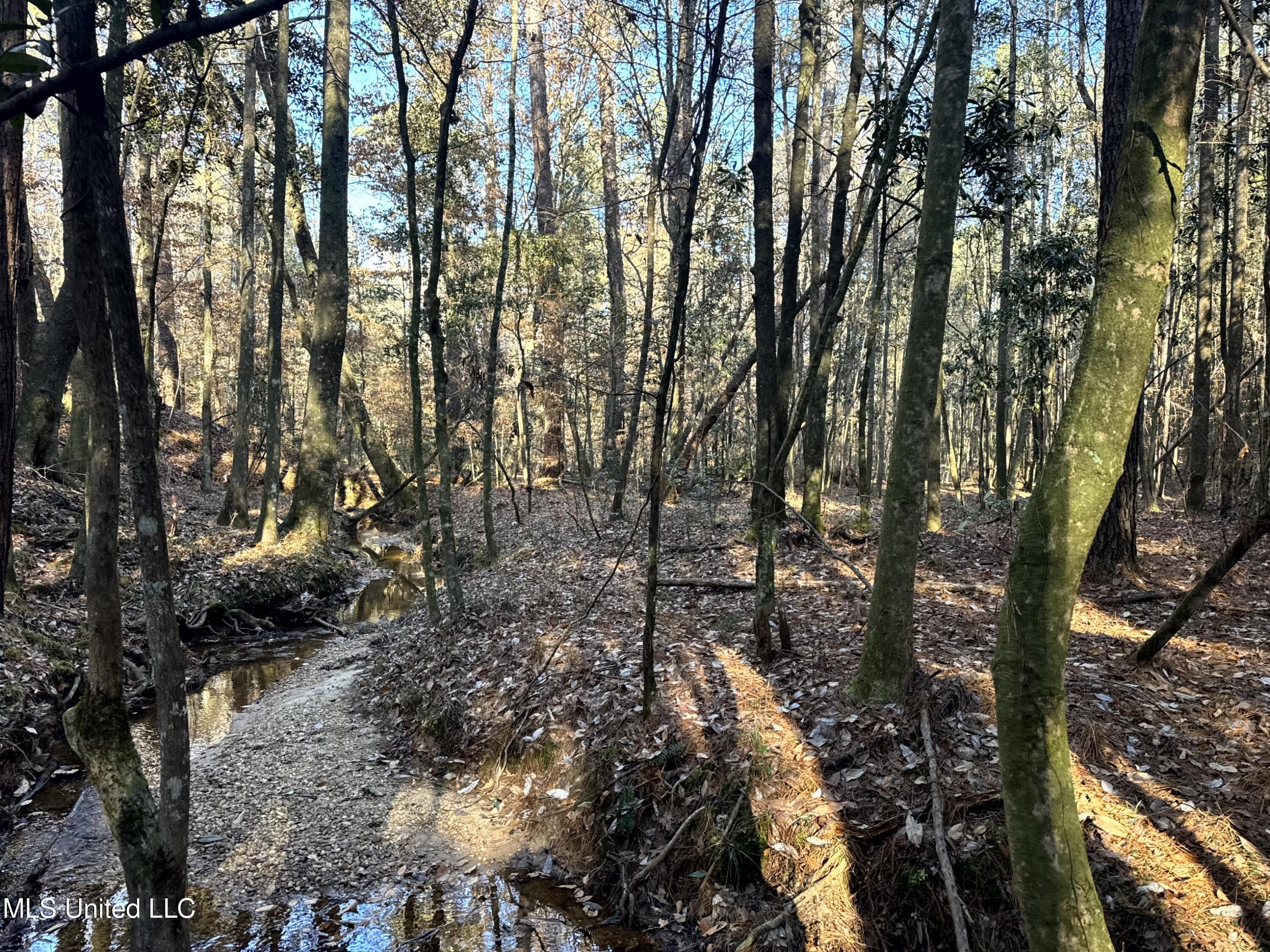 6573 Highway 567 Liberty, MS 39645 - Photo 42 of 50 47