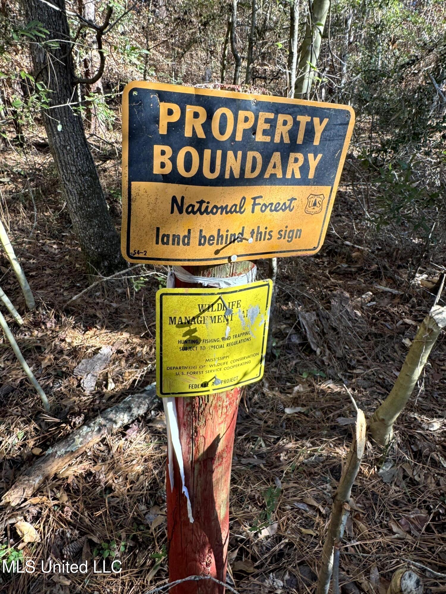 6573 Highway 567 Liberty, MS 39645 - Photo 43 of 50 48