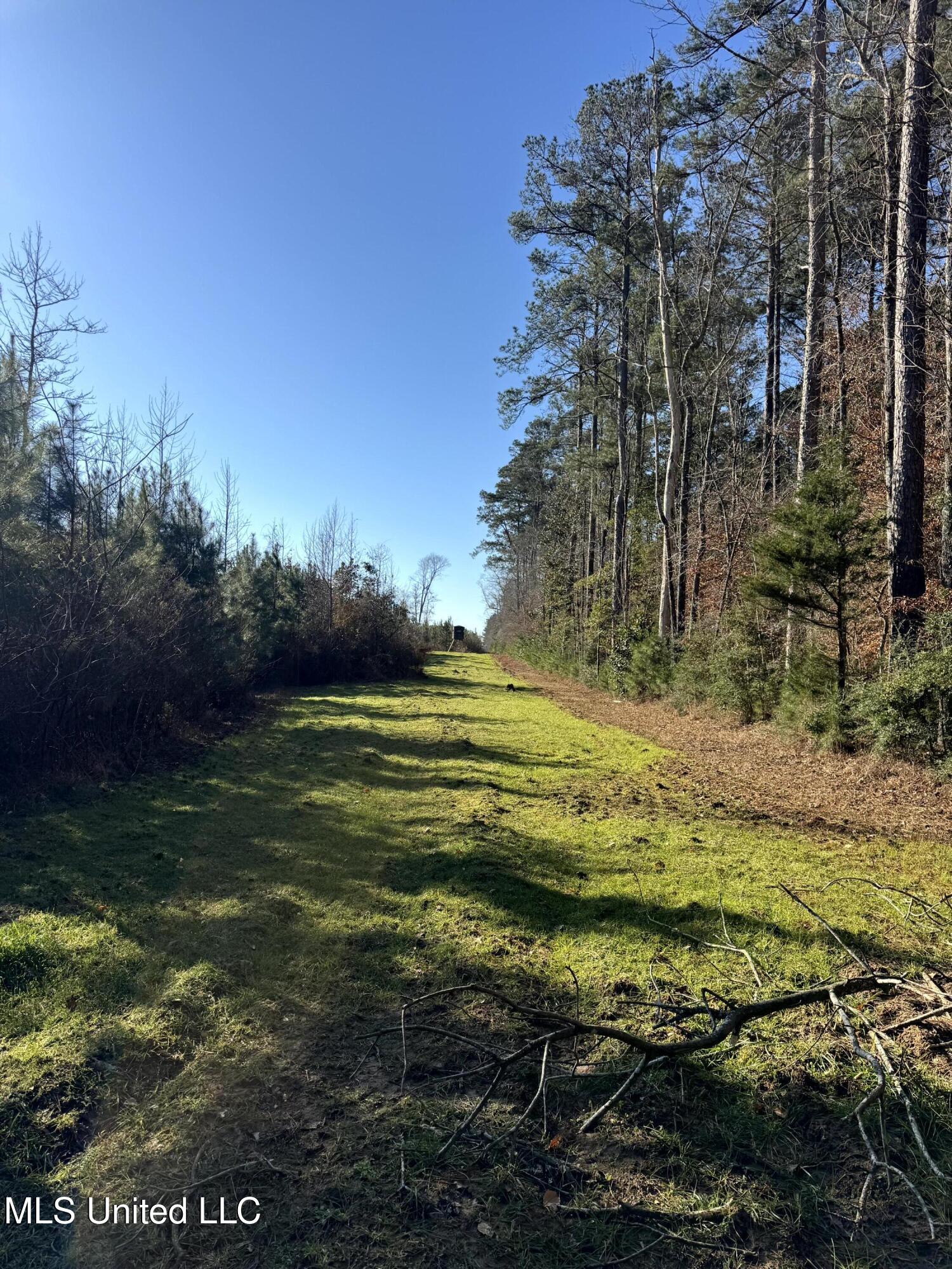 6573 Highway 567 Liberty, MS 39645 - Photo 44 of 50 50