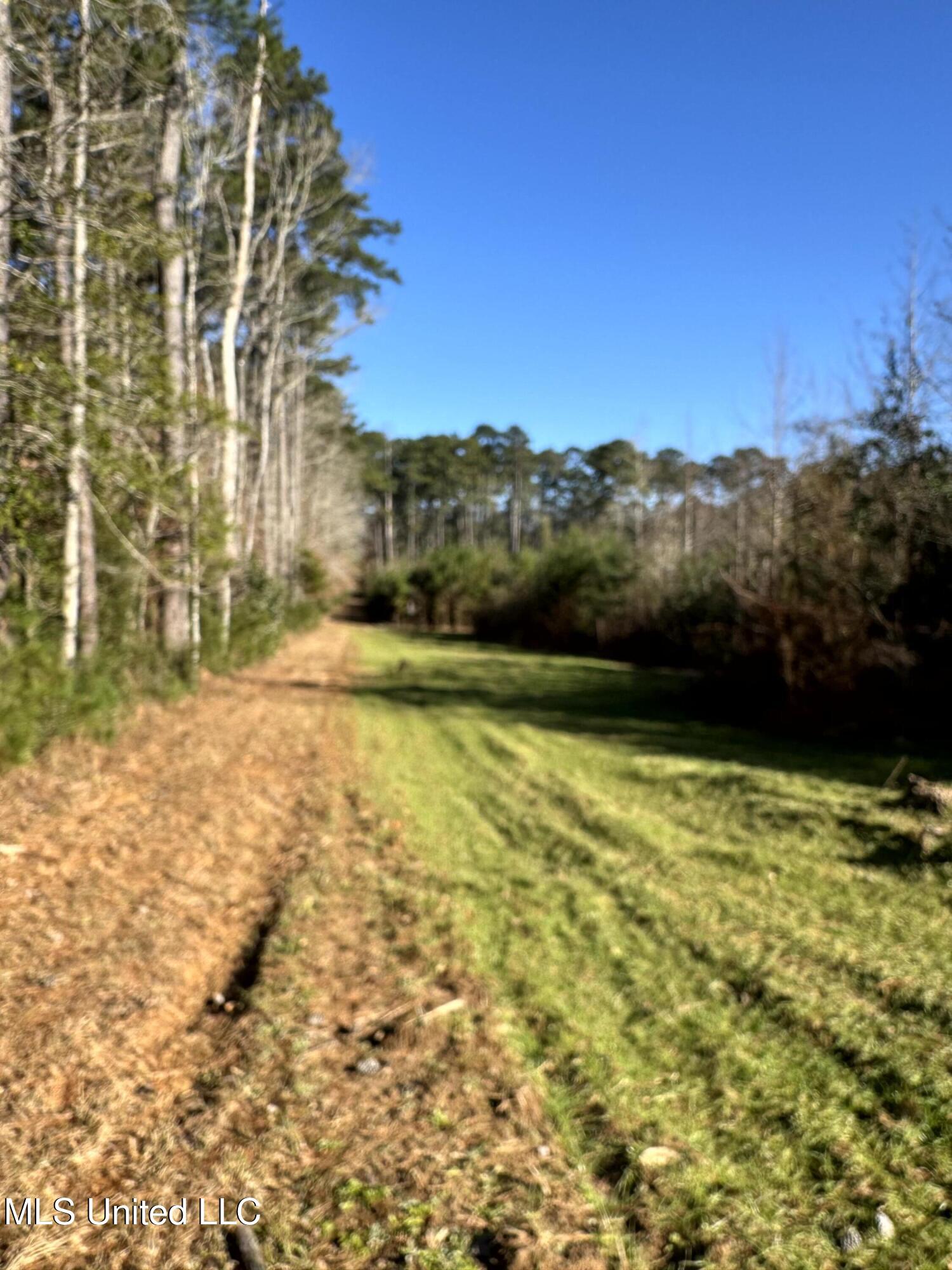 6573 Highway 567 Liberty, MS 39645 - Photo 45 of 50 51