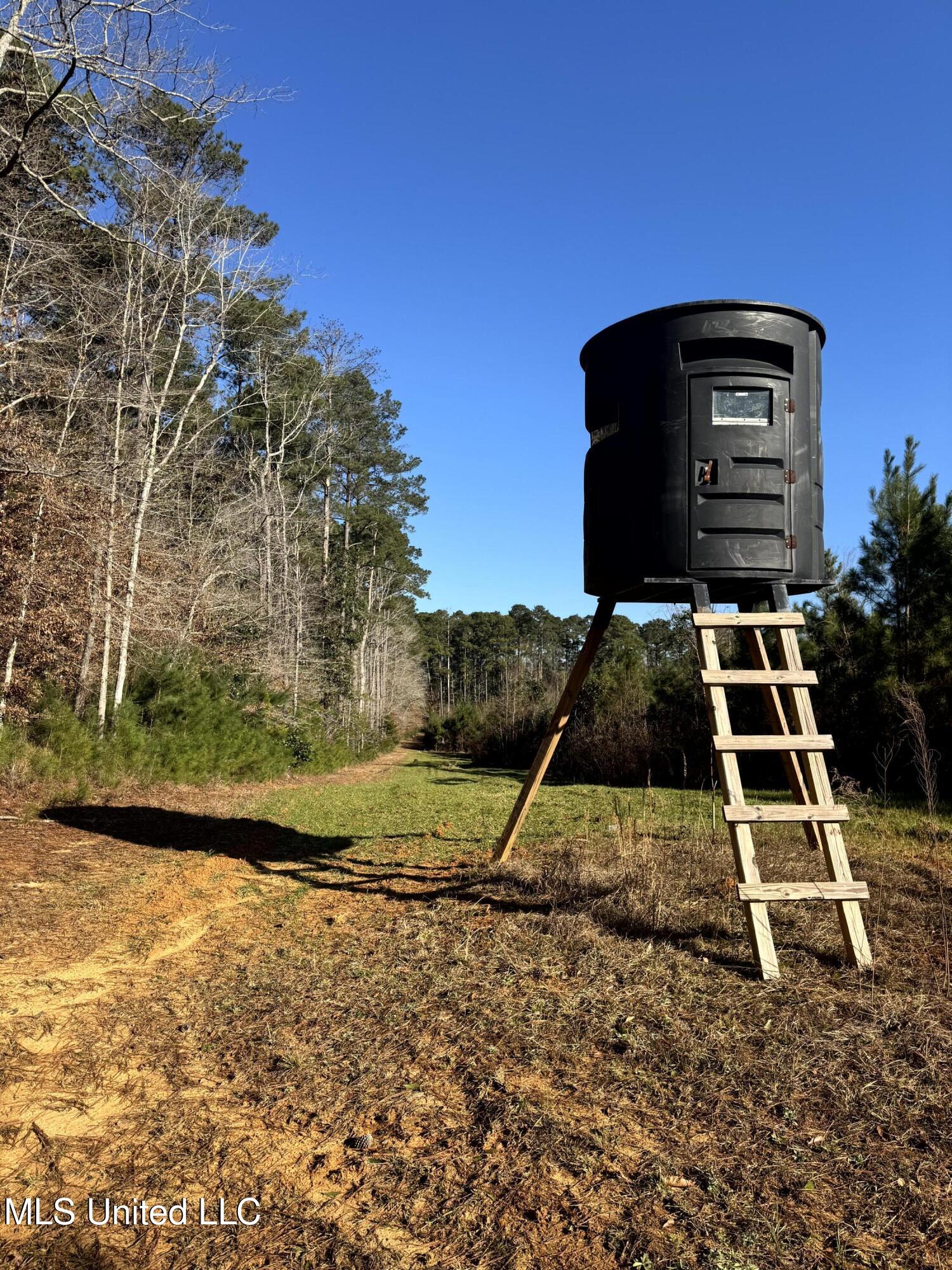 6573 Highway 567 Liberty, MS 39645 - Photo 46 of 50 52