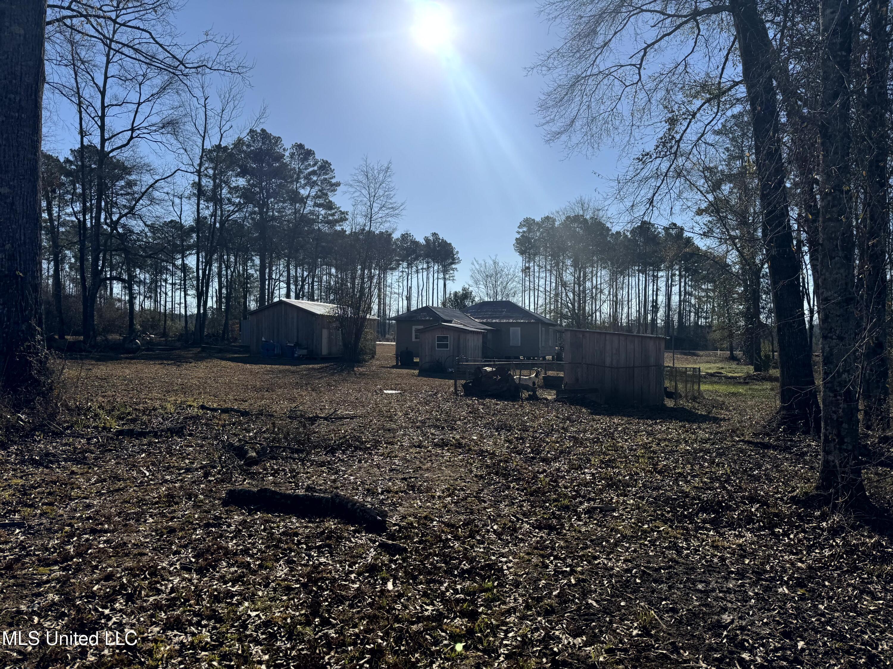 6573 Highway 567 Liberty, MS 39645 - Photo 47 of 50 53