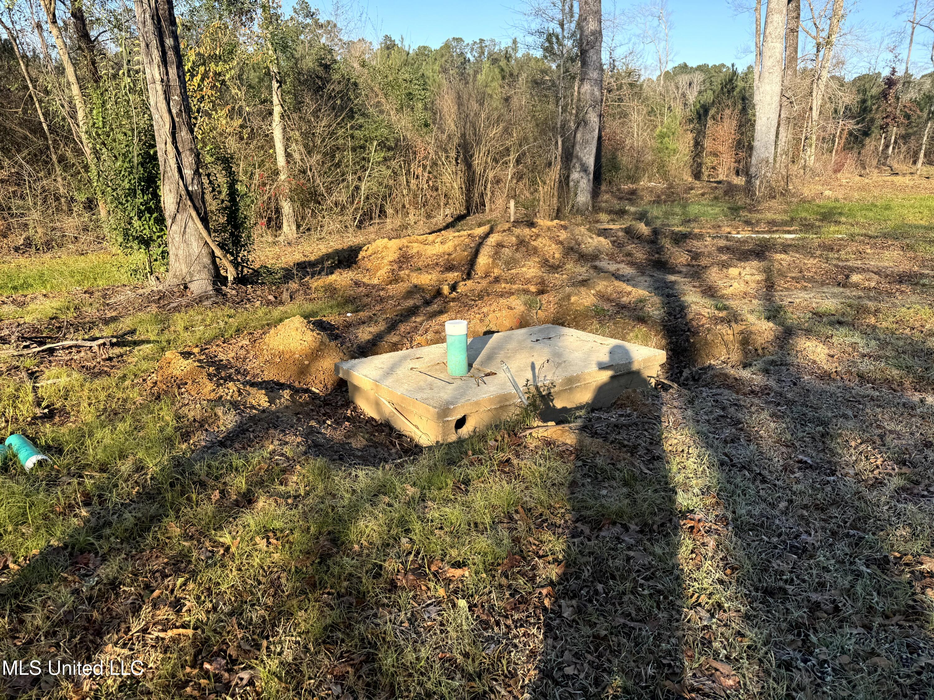 6573 Highway 567 Liberty, MS 39645 - Photo 6 of 50 4