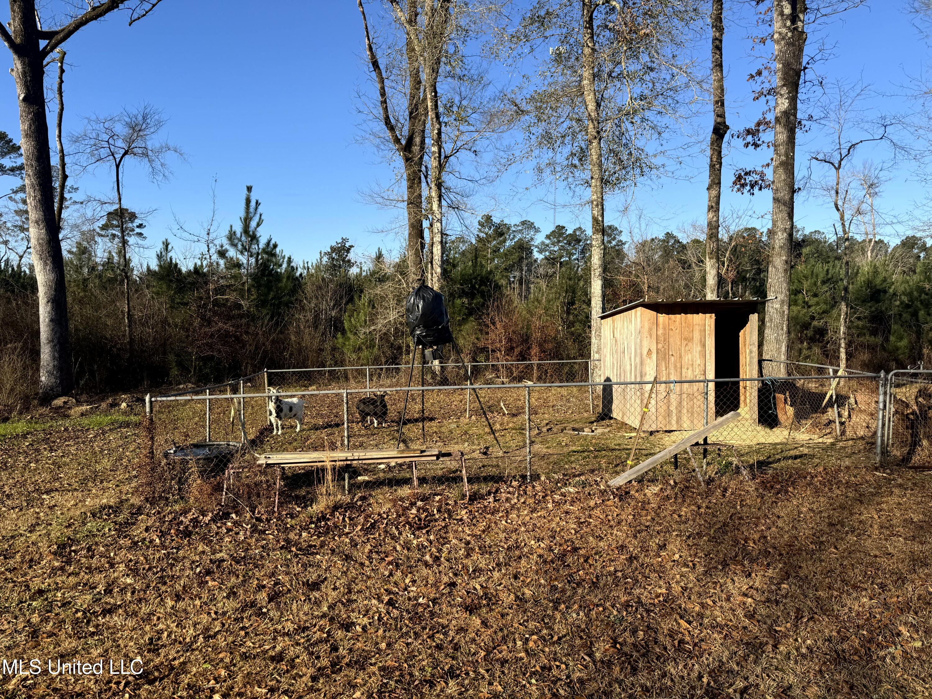 6573 Highway 567 Liberty, MS 39645 - Photo 9 of 50 7