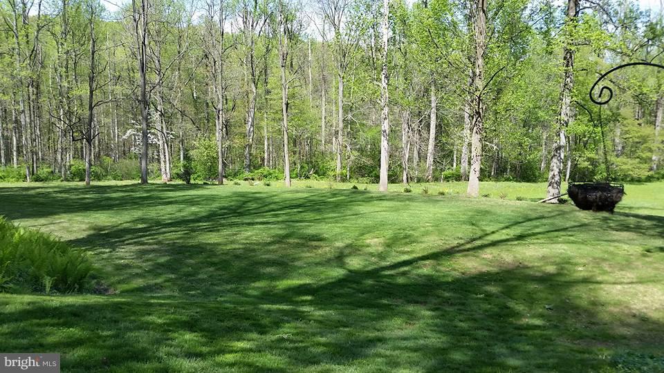 80 Dead End Road Lititz, PA 17543 - Photo 61 of 76 Rear Yard