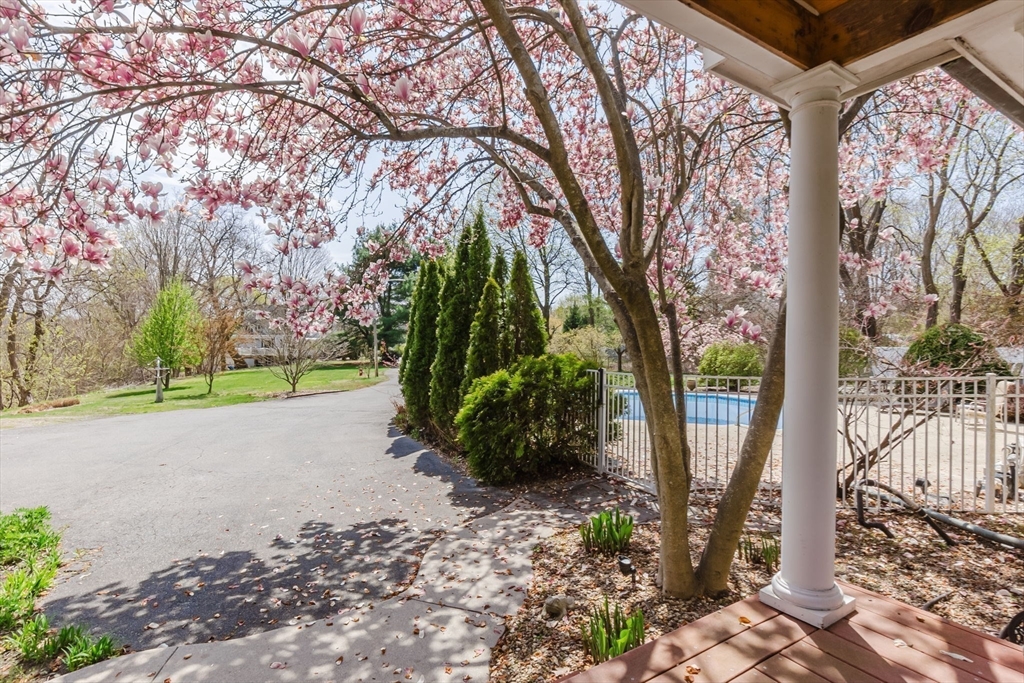 11 Bartlett Place Amesbury, MA 01913 - Photo 6 of 41 a view of backyard with green space