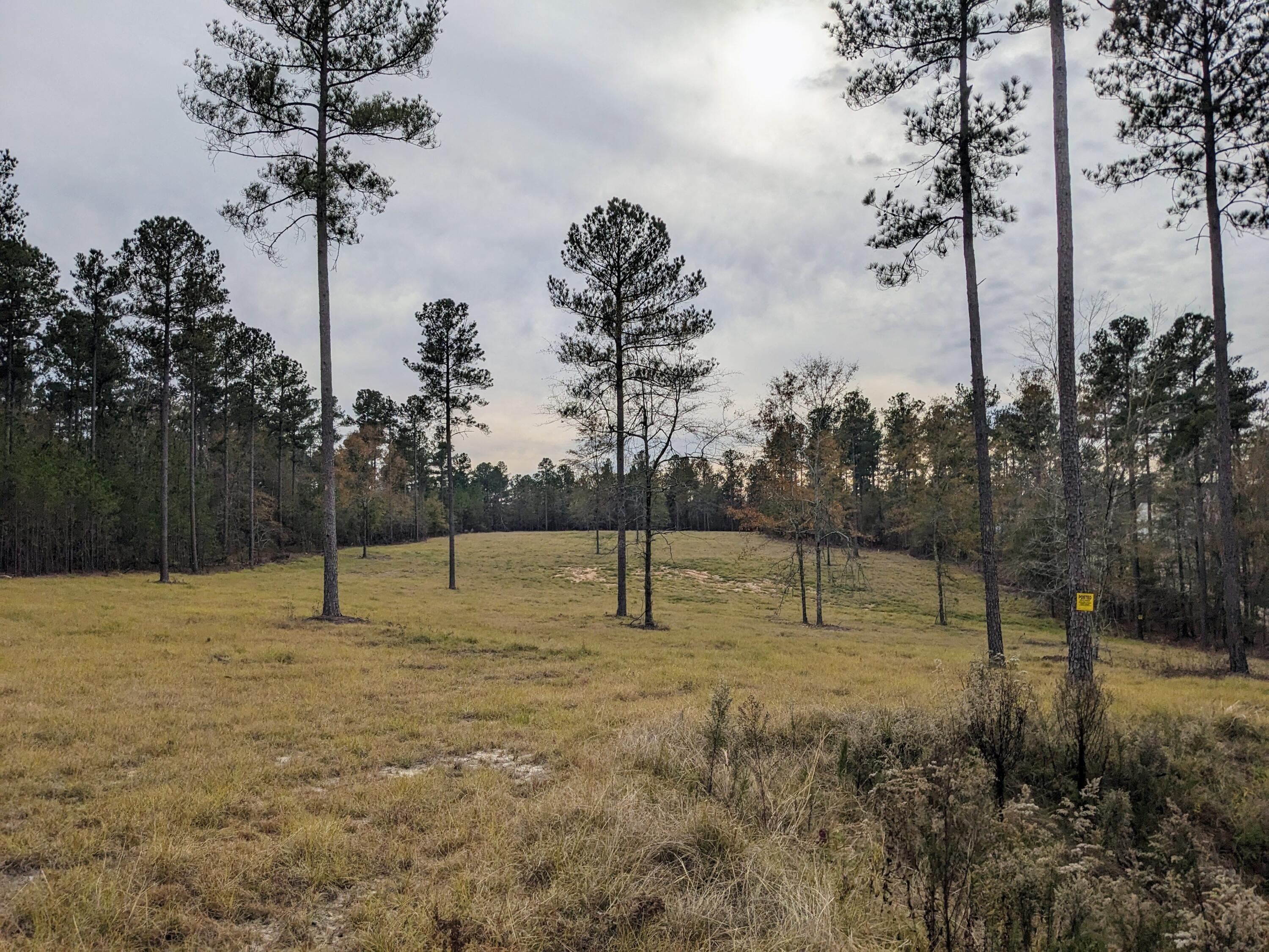 Lot 1 Anderson Pond Road