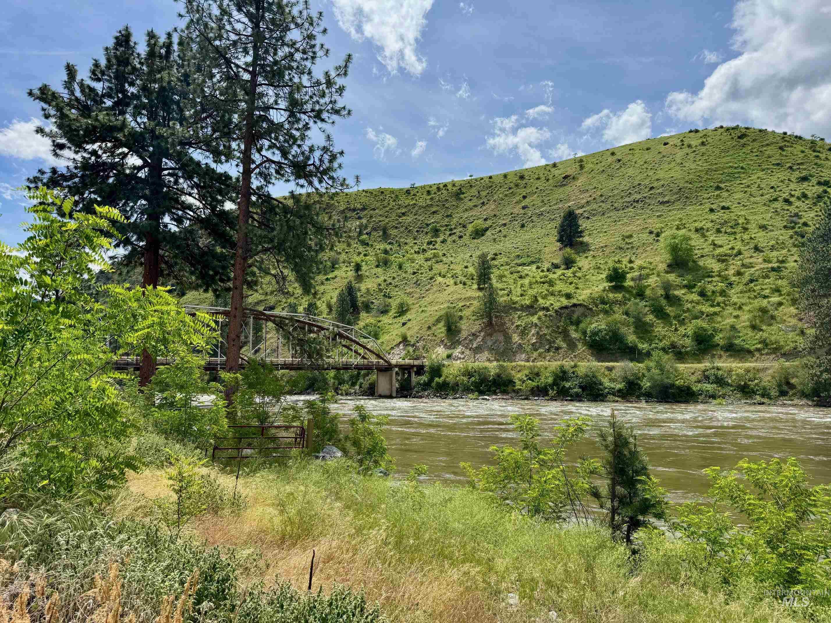 151 Cow Creek Road Lucile, ID 83542 - Photo 47 of 50 Riverside property featuring a historic bridge, lush green hills, and mature evergreen trees