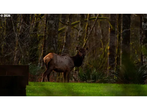 $1,299,900 | 168 Yale-Landing Road, Cougar, WA 98616