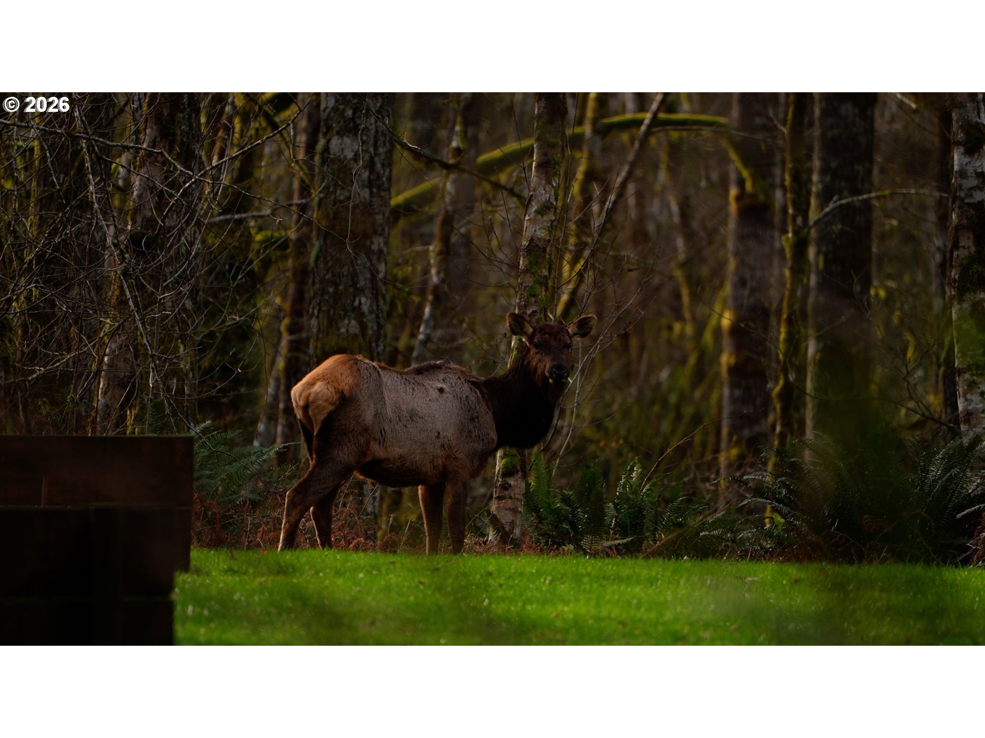 168 Yale-Landing Road Cougar, WA 98616 - Photo 45 of 48