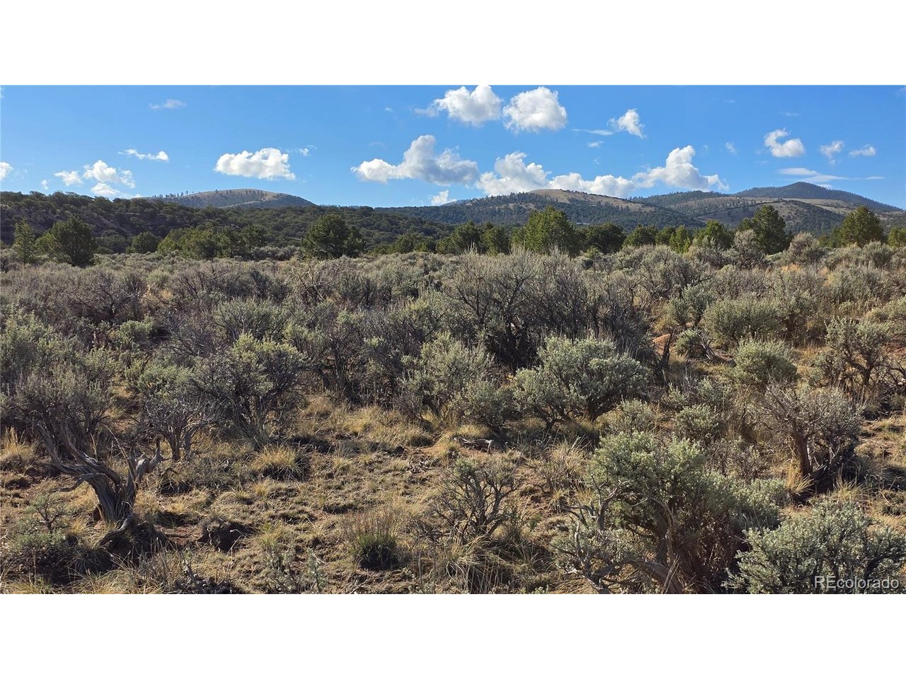 7340 Sweany Road Fort Garland, CO 81133 - Photo 6 of 31