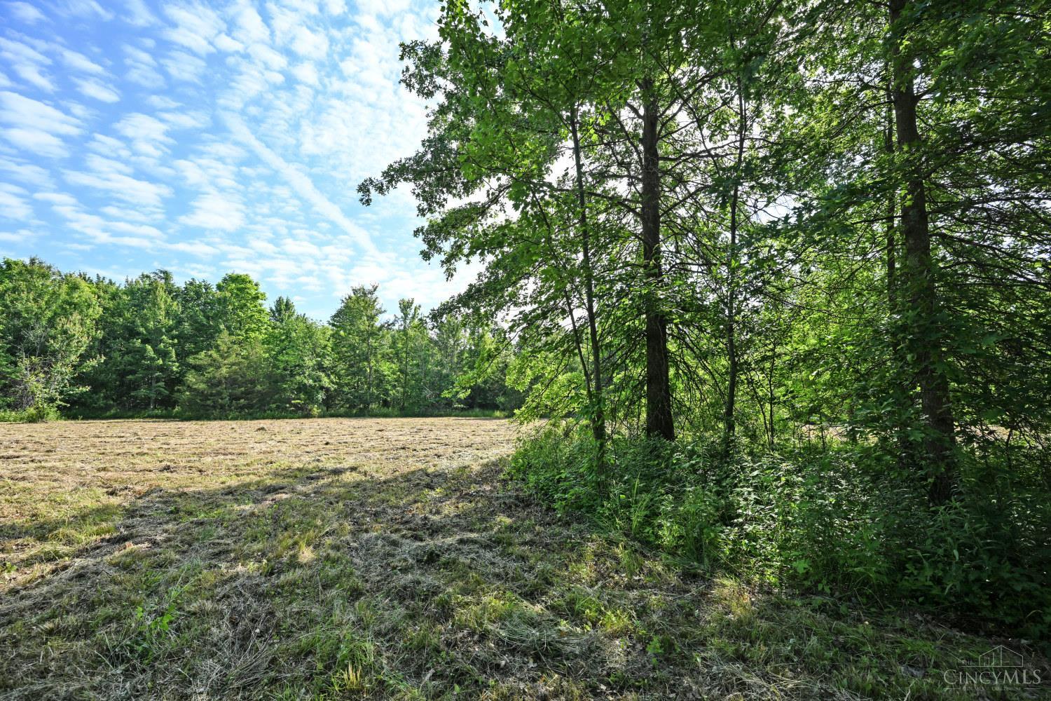 10752 Armstrong Road Pleasant Plain, OH 45162 - Photo 3 of 13