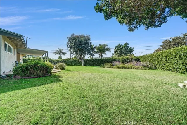 a view of a garden with a building in the background