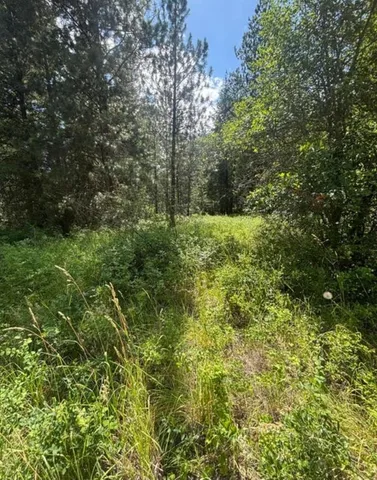 $125,000 | Xxxx Hill Loop Road, Kettle Falls, WA 99141