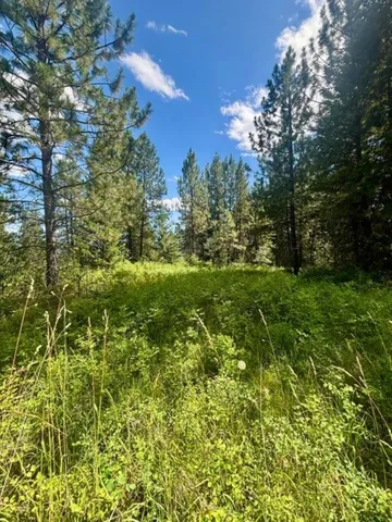 $125,000 | Xxxx Hill Loop Road, Kettle Falls, WA 99141