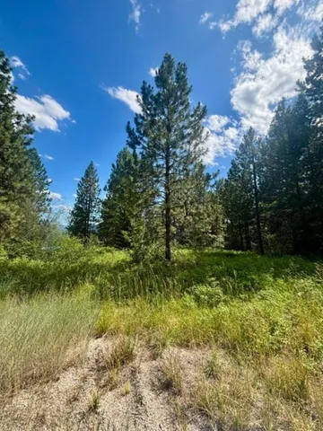 $125,000 | Xxxx Hill Loop Road, Kettle Falls, WA 99141