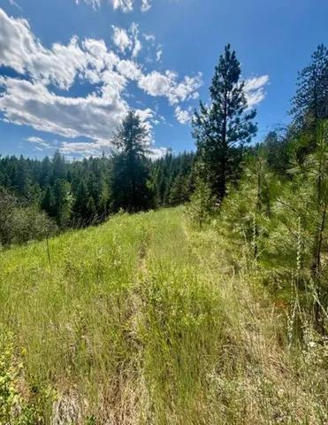 $125,000 | Xxxx Hill Loop Road, Kettle Falls, WA 99141