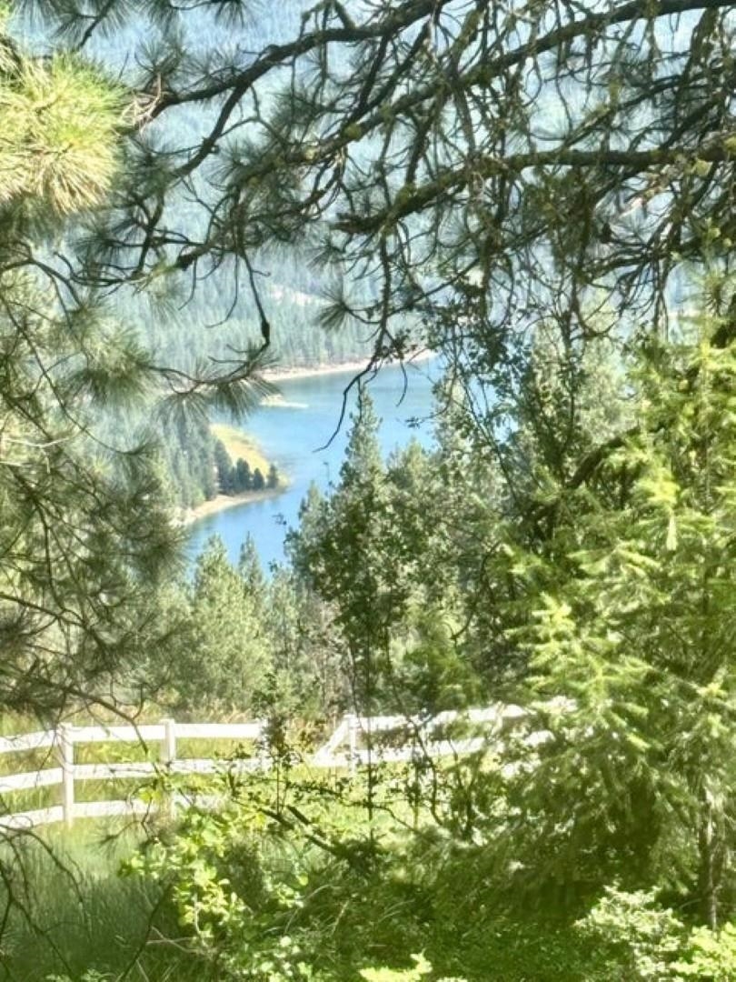 Xxxx Hill Loop Road Kettle Falls, WA 99141 - Photo 4 of 17