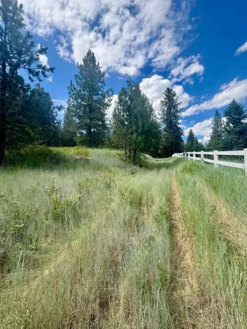 $125,000 | Xxxx Hill Loop Road, Kettle Falls, WA 99141