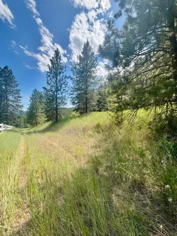 $125,000 | Xxxx Hill Loop Road, Kettle Falls, WA 99141