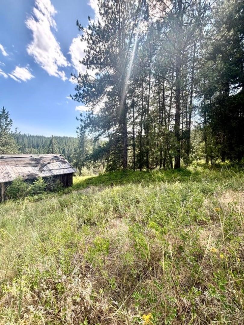 Xxxx Hill Loop Road Kettle Falls, WA 99141 - Photo 9 of 17