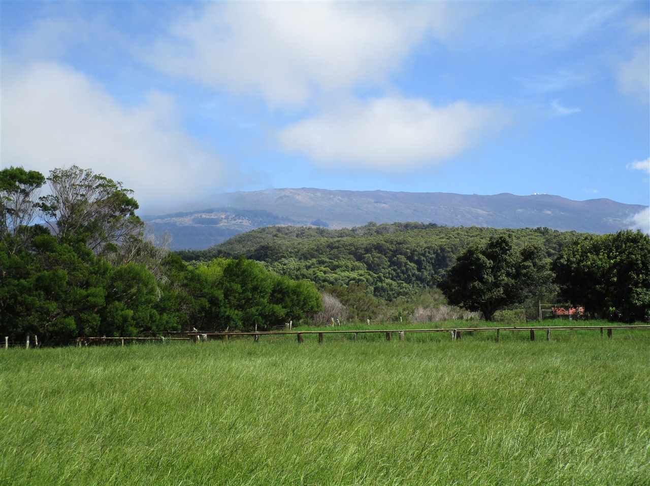 a view of a lush green outdoor space with a swimming pool and valleys in the background