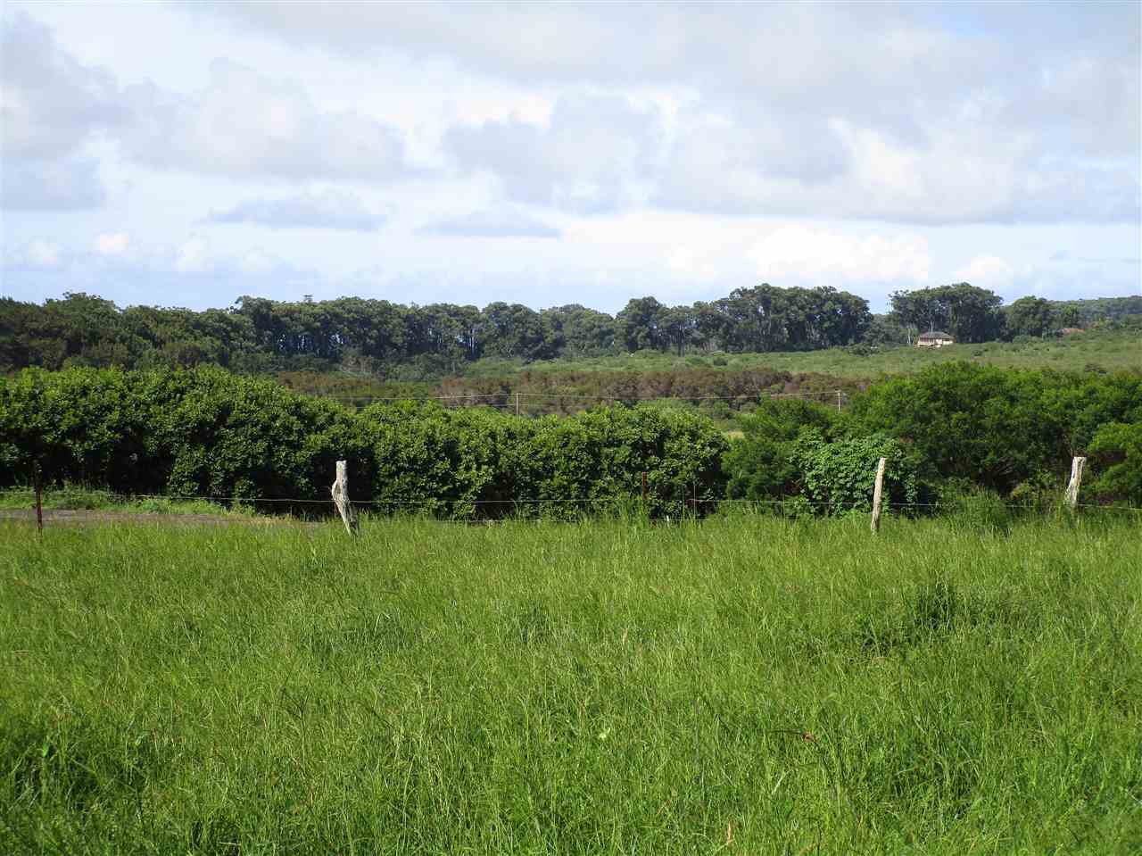 2235 Kaupakalua Road Haiku, HI 96708 - Photo 3 of 12 a view of lake with green space