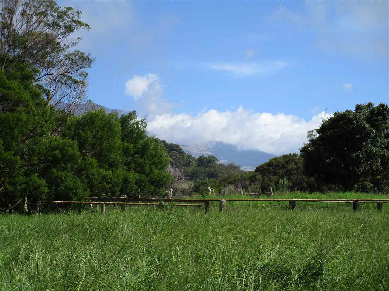 2235 Kaupakalua Road Haiku, HI 96708 - Photo 5 of 12 a view of a lake