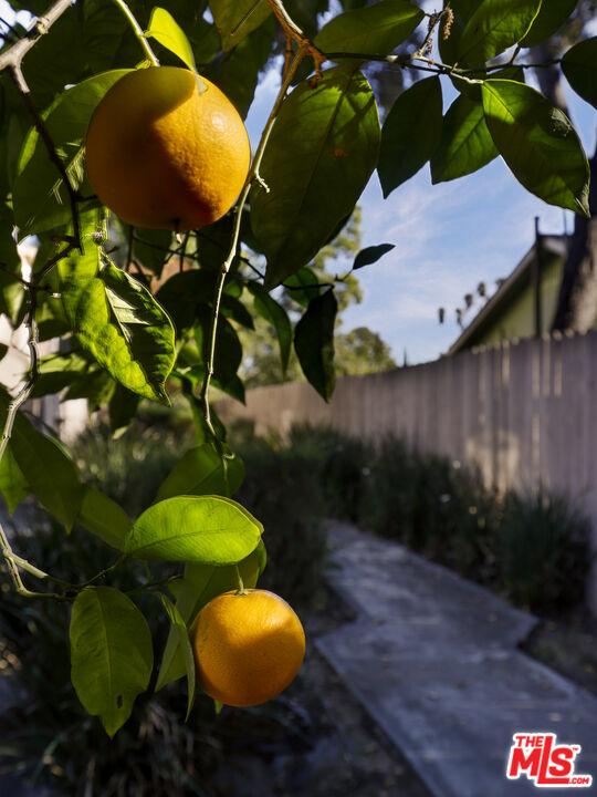 762 East Orange Grove Boulevard, Unit 5 Pasadena, CA 91104 - Photo 24 of 31