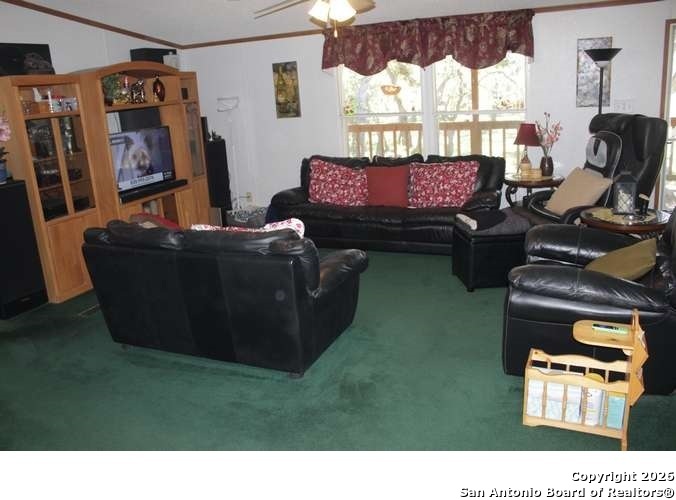 317 Swayze Road Utopia, TX 78884 - Photo 4 of 10 a living room with furniture and a window