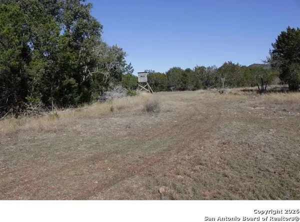 a view of a dry yard with trees
