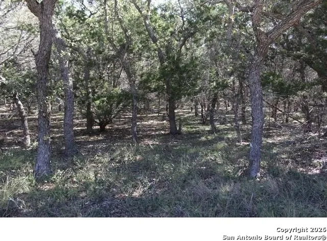 $650,000 | 317 Swayze Road, Utopia, TX 78884