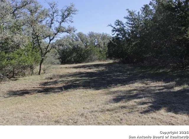 $650,000 | 317 Swayze Road, Utopia, TX 78884