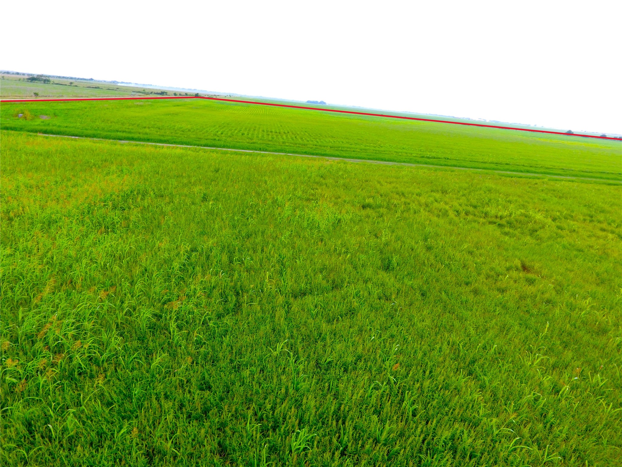 768 Million Dollar Road Palacios, TX 77465 - Photo 10 of 49