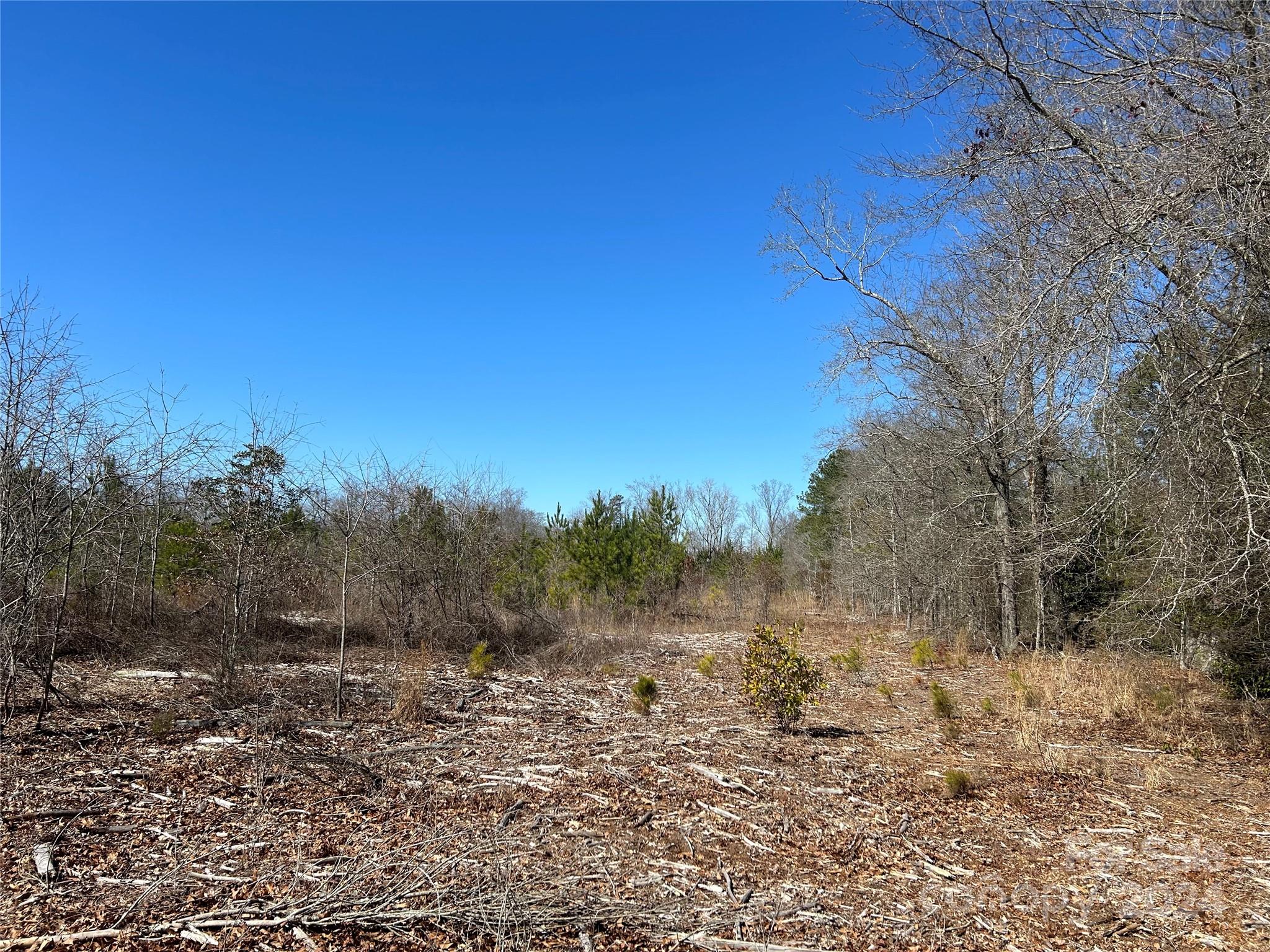 7 Buffalo Creek Road Kershaw, SC 29067 - Photo 4 of 10 a view of a yard with trees in the background