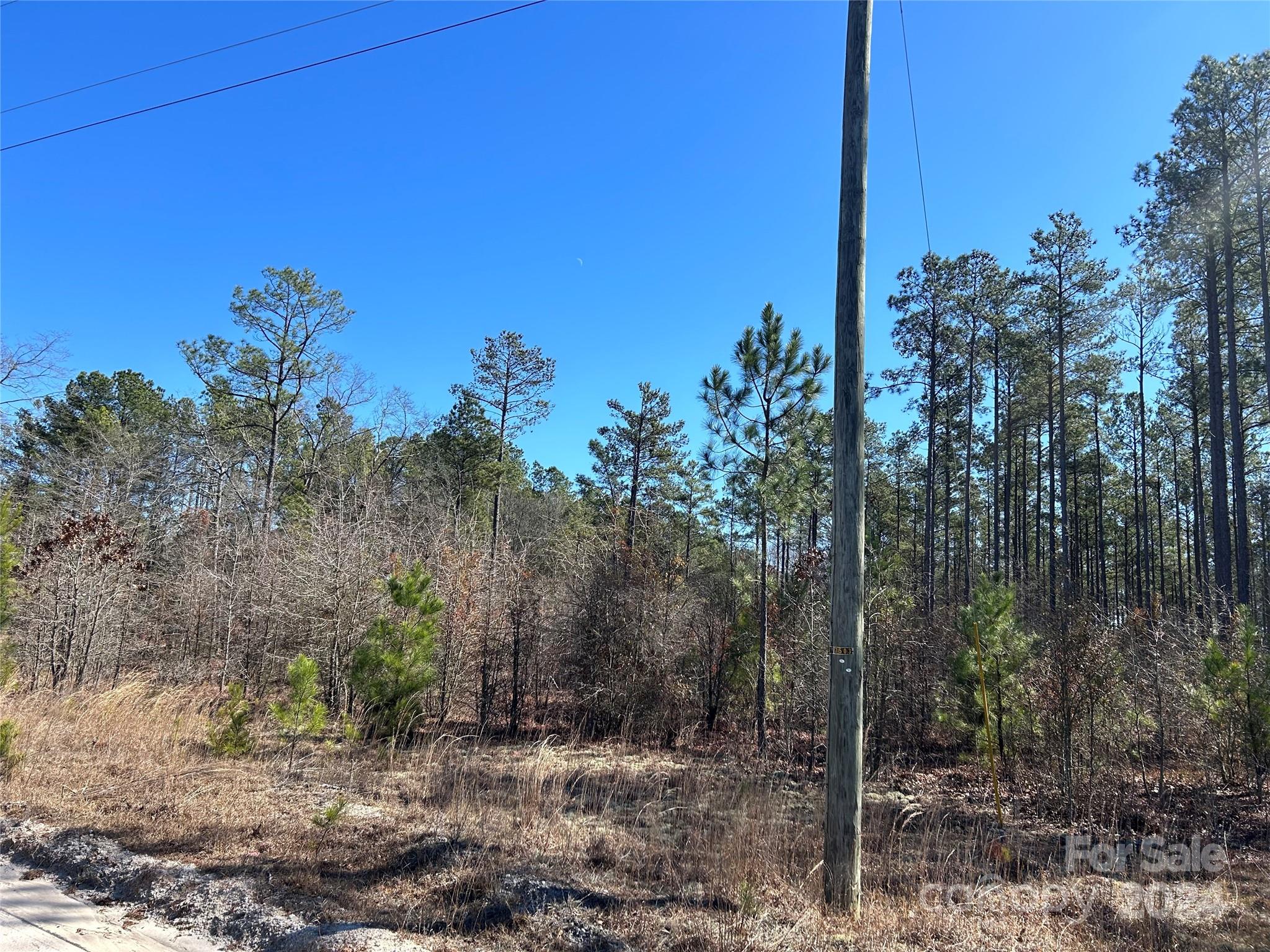 7 Buffalo Creek Road Kershaw, SC 29067 - Photo 9 of 10 a view of a yard with a tree