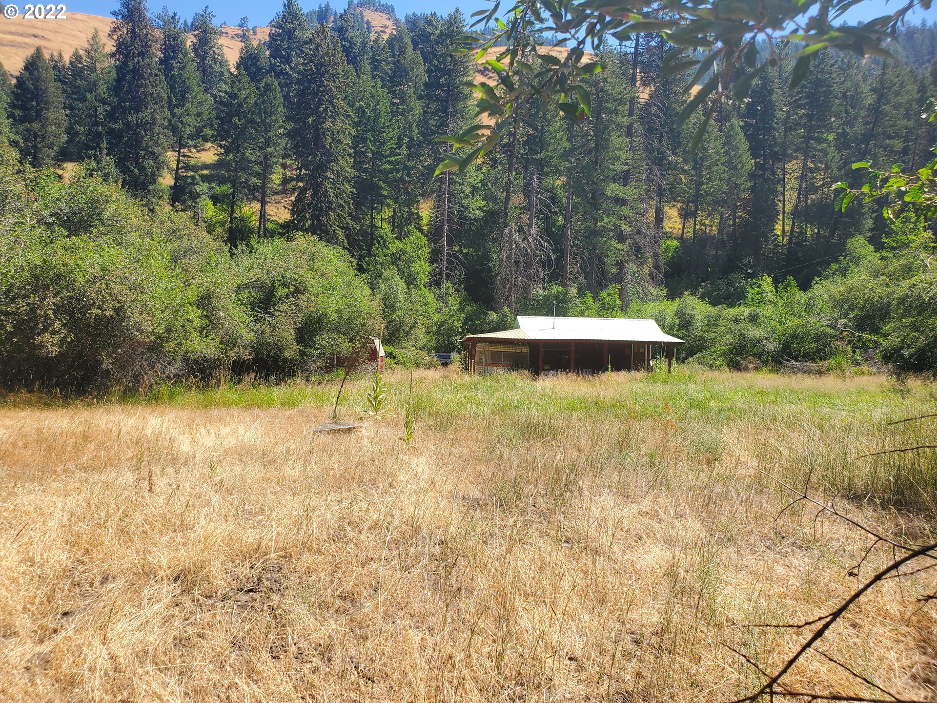 60310 Elk Way Imnaha, OR 97842 - Photo 17 of 19 a view of a yard