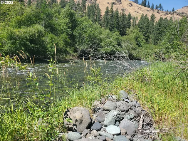 a view of a garden with plants