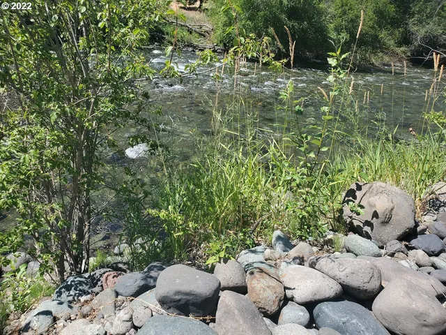 a view of a backyard with plants and outdoor seating