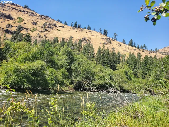 a view of a couches in patio of the house