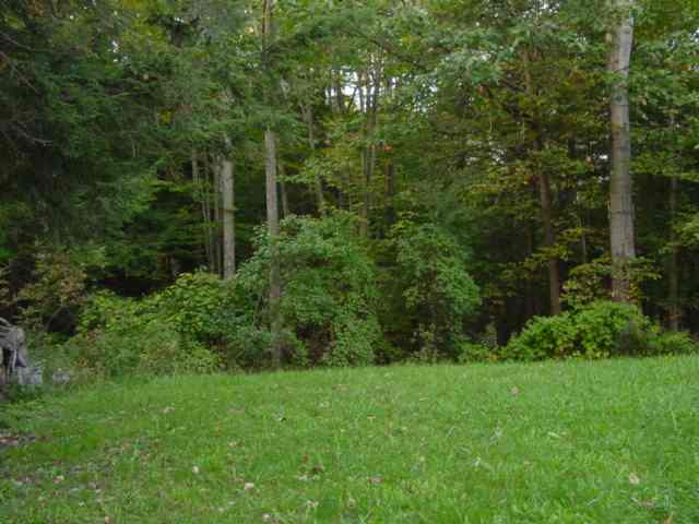 878 Bozenkill Road Knox, NY 12009 - Photo 2 of 6 Photo 2