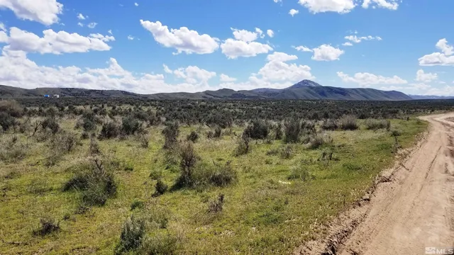 a view of a lake in middle of forest
