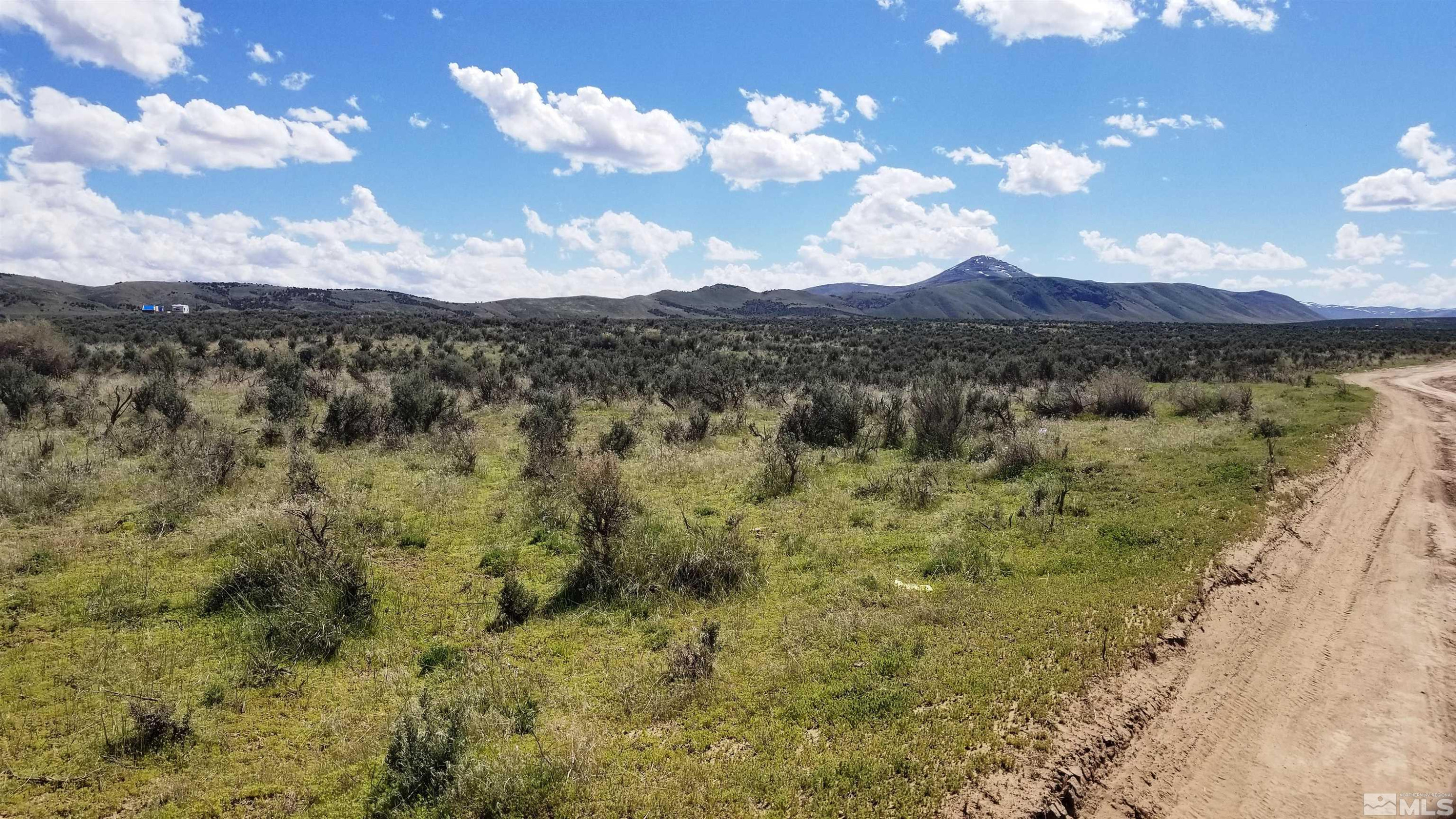 0 Bitterroot Street, Unit BITTERROOT ST / FRANKLIN AVE Elko, NV 89801 - Photo 4 of 5 a view of a lake in middle of forest