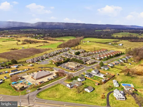 a living room with furniture potted plant and a large window