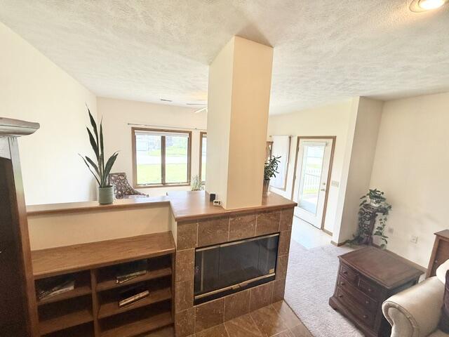 400 South Rice Street, Unit 2 Whitewater, WI 53190 - Photo 12 of 27 FIREPLACE