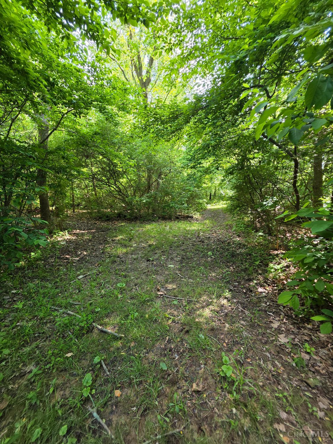 0 Fagins Run Road New Richmond, OH 45157 - Photo 10 of 28
