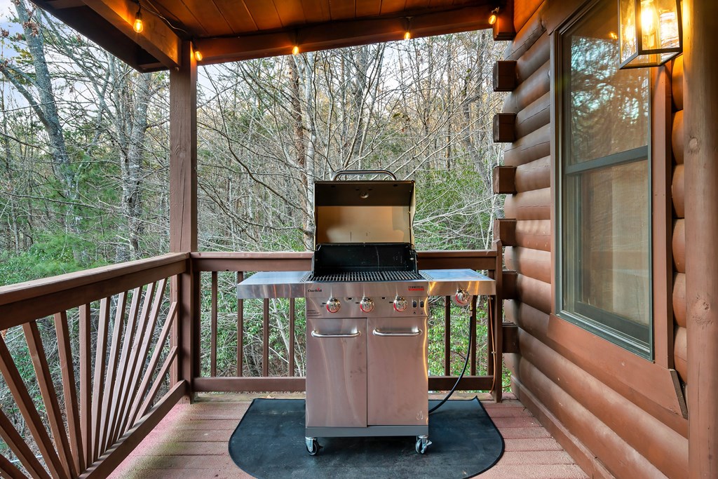 239 Earnest Alta Circle Blue Ridge, GA 30513 - Photo 16 of 55