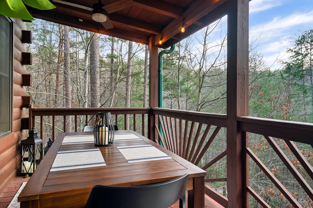 239 Earnest Alta Circle Blue Ridge, GA 30513 - Photo 17 of 55