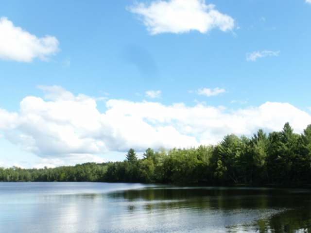 N11764 Hwy 17 Rhinelander Wi 54501 Rhinelander, WI 54501 - Photo 2 of 7 Gallery Image 2